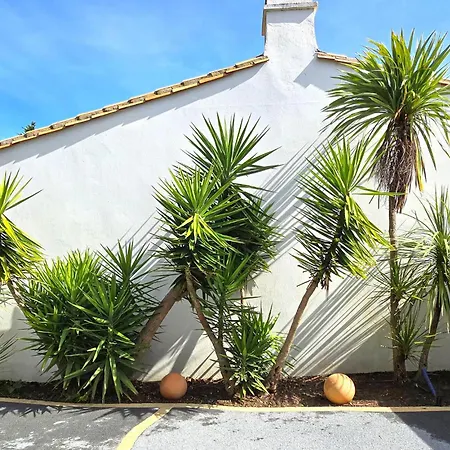 Charmante Maison Avec Piscine * La Couarde-sur-Mer